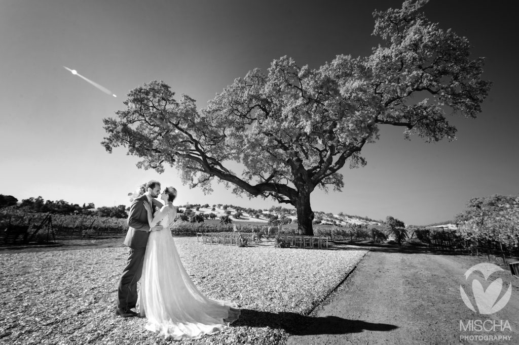 Rancho Victoria Vineyard wedding