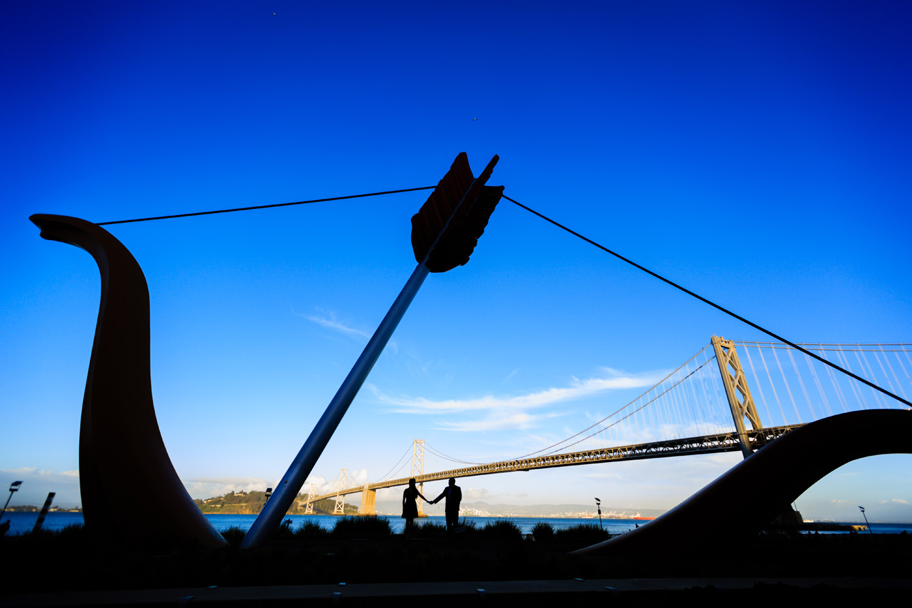 San Francisco Engagement photos