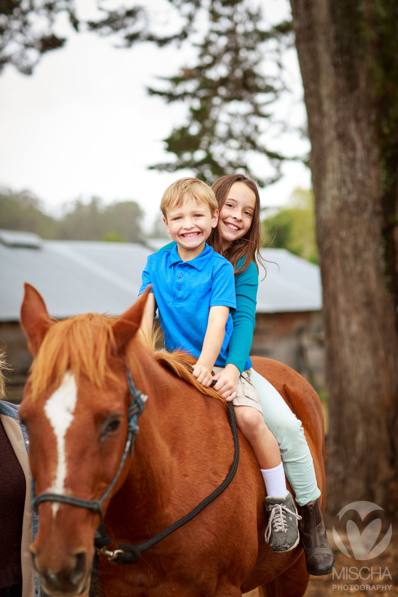 wine country family portrait