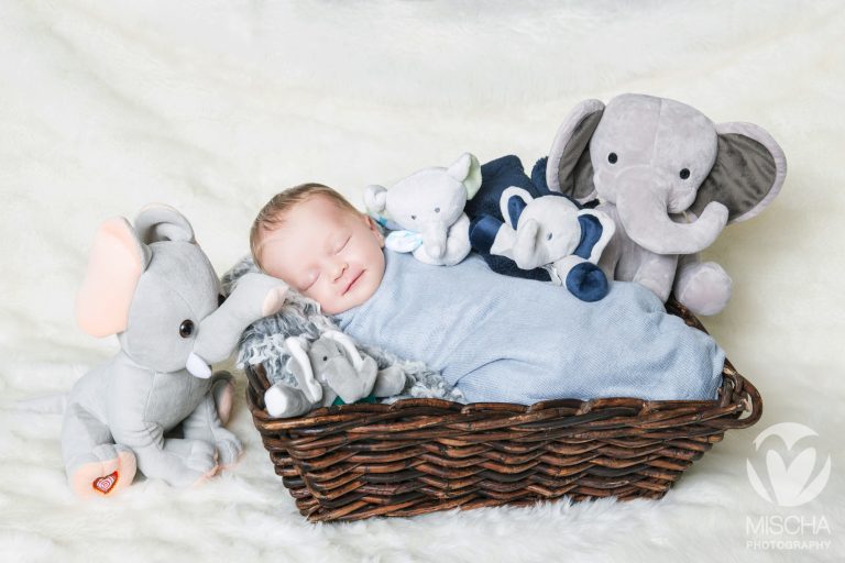 Sacramento newborn photography