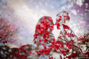 Sacramento engagement double exposure