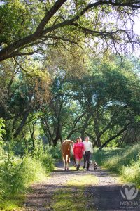 River Bend Park engagement